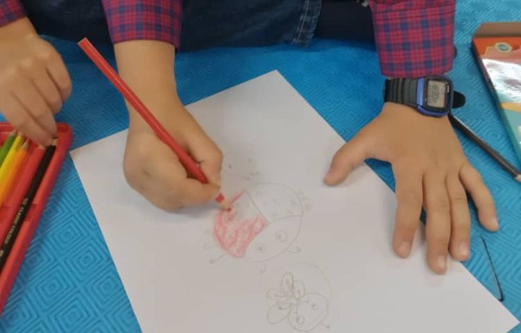 نقاشی خلاق حشرات 9