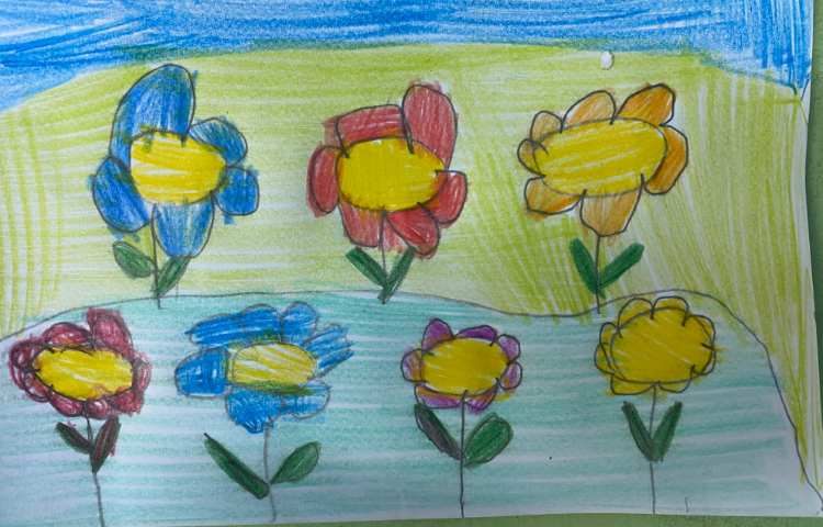 :نقاشی دشت گلهای آفتابردان، پایه پیش دبستان 1
