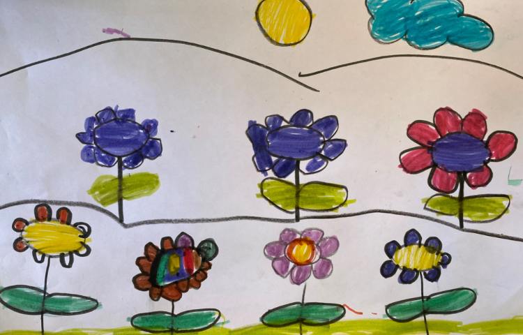 :نقاشی دشت گلهای آفتابردان، پایه پیش دبستان 11