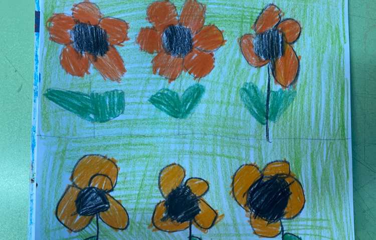 :نقاشی دشت گلهای آفتابردان، پایه پیش دبستان 2