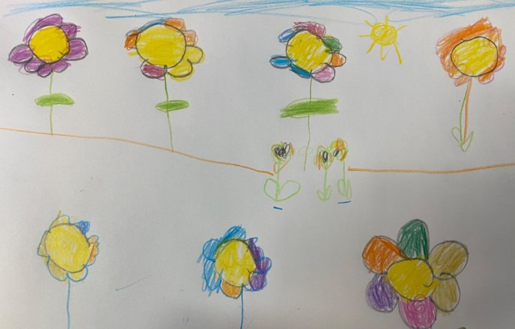 :نقاشی دشت گلهای آفتابردان، پایه پیش دبستان 3