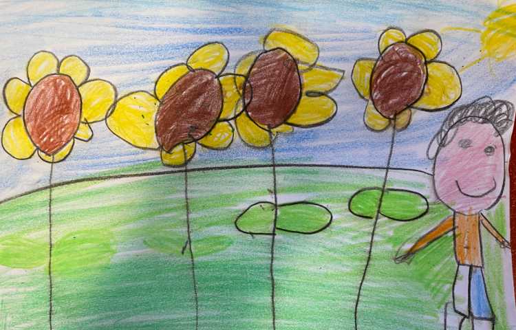 :نقاشی دشت گلهای آفتابردان، پایه پیش دبستان 4