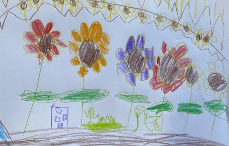 :نقاشی دشت گلهای آفتابردان، پایه پیش دبستان 6