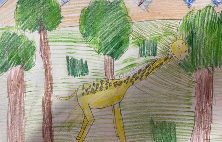 :نقاشی زرافه و جنگل، پایه دوم 1