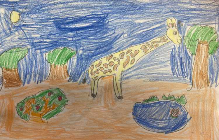 :نقاشی زرافه و جنگل، پایه دوم 2