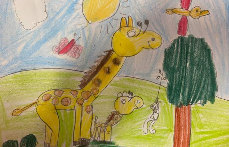 :نقاشی زرافه و جنگل، پایه دوم 5