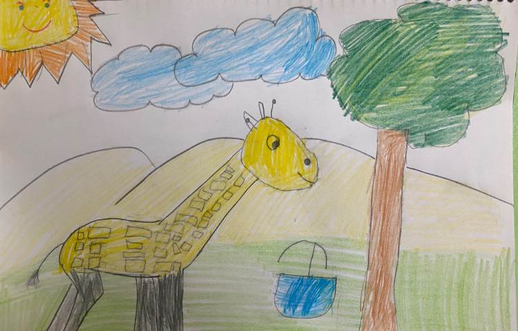 :نقاشی زرافه و جنگل، پایه دوم 7