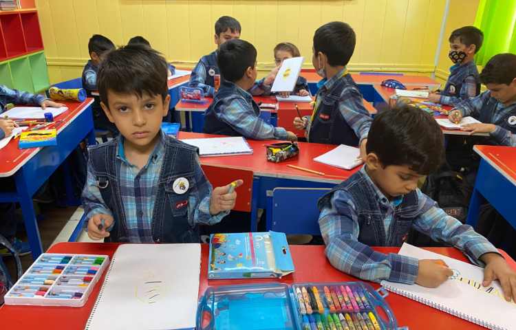 :نقاشی زنبور، کلاس انگور 5