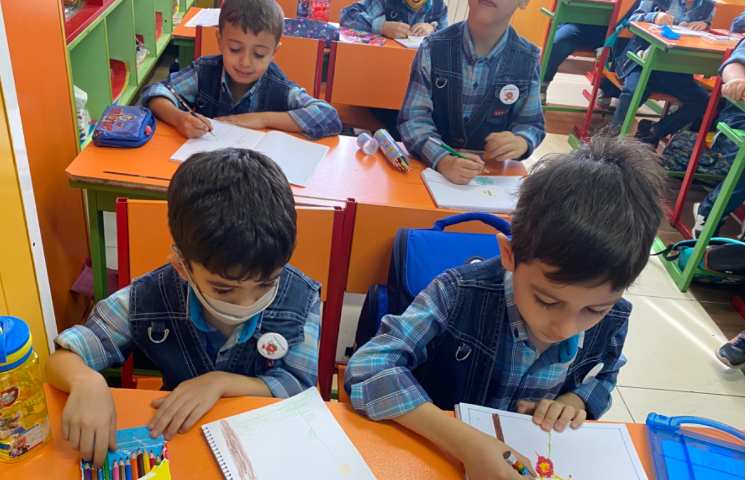 :نقاشی زنبور، کلاس توت فرنگی 3