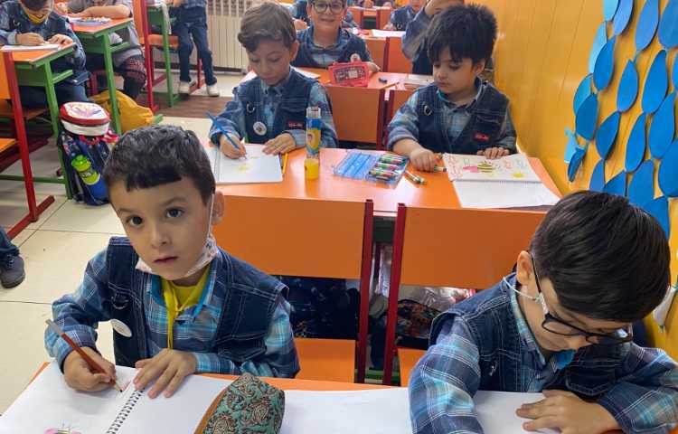 :نقاشی زنبور، کلاس توت فرنگی 4