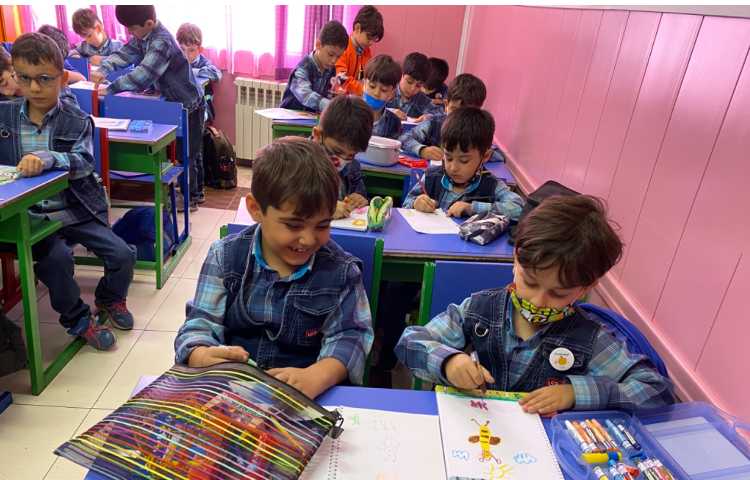 :نقاشی زنبور، کلاس سیب 3