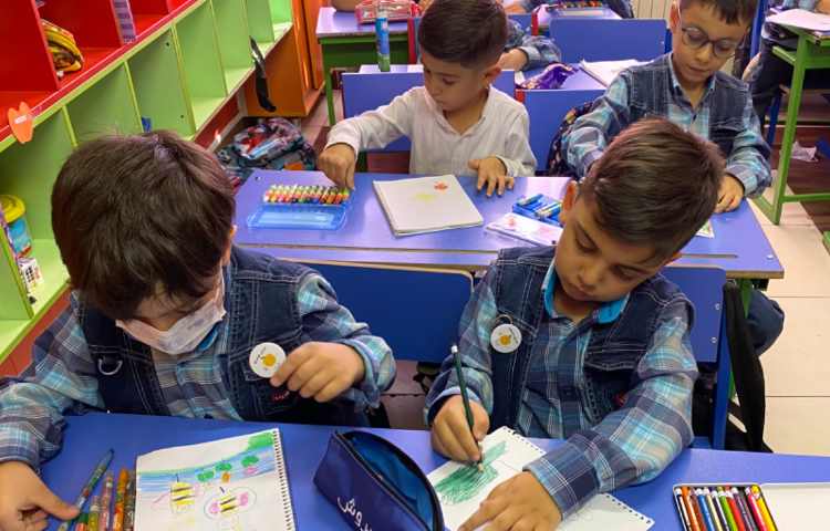 :نقاشی زنبور، کلاس سیب