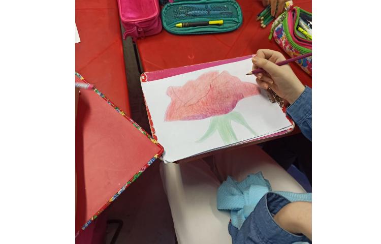 نقاشی مدادرنگی پایه ششم 8