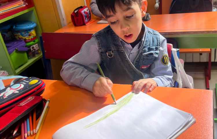 نقاشی منظره با مدادرنگی 29