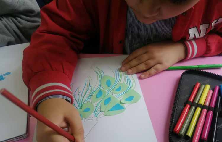 نقاشی و کلاژ شکل طاووس 1