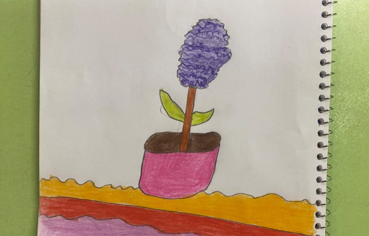 :نقاشی گلدان و سنبل، پایه سوم 1