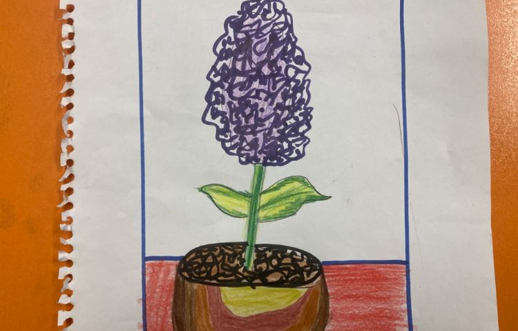 :نقاشی گلدان و سنبل، پایه سوم 2