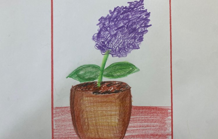 :نقاشی گلدان و سنبل، پایه سوم 4