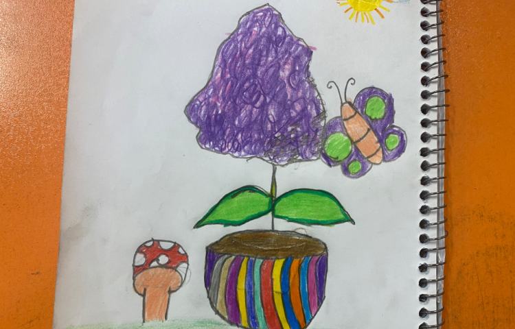 :نقاشی گلدان و سنبل، پایه سوم 6