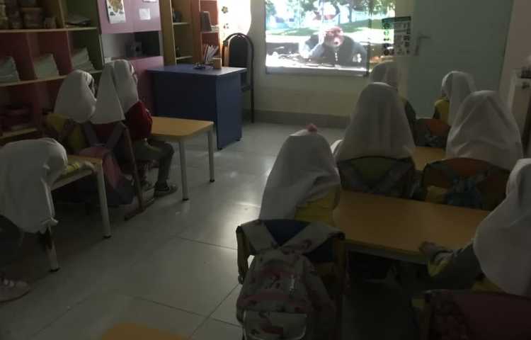 نقد انیمیشن 3