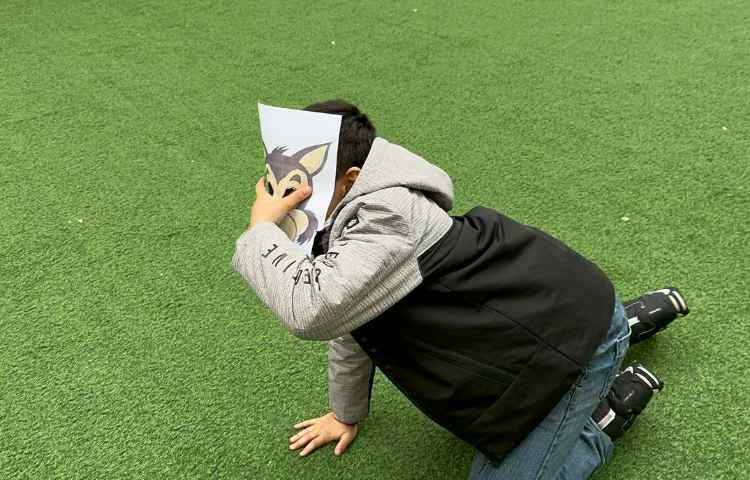 نمایش خلاق حرکت حیوانات در حیاط جهت تثبیت نشانه ح 4