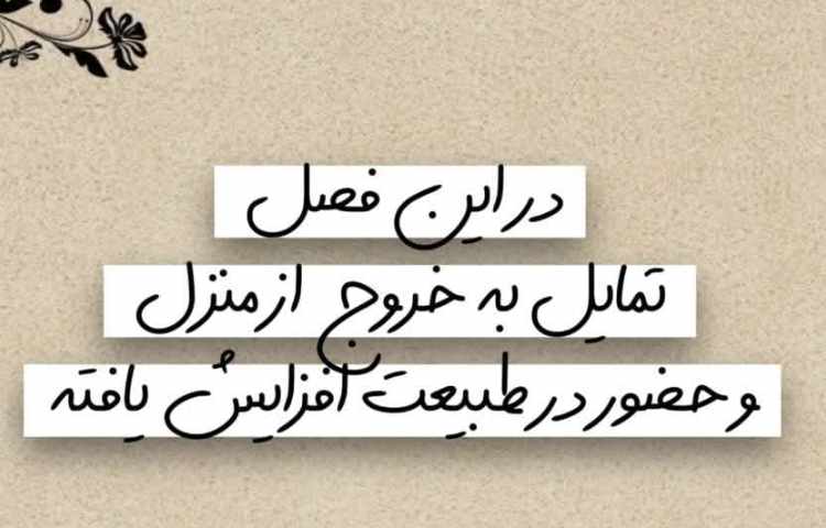 نوروز فرصتی برای ارتقاء ارتباطات خانوادگی 2