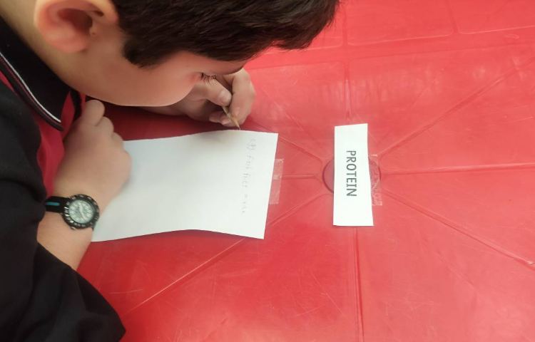 نوشتن لیست مواد غذایی با انجام بازی گروهی 4