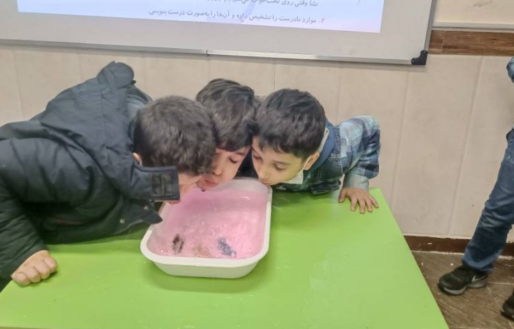 نیرو و جهت نیرو 2