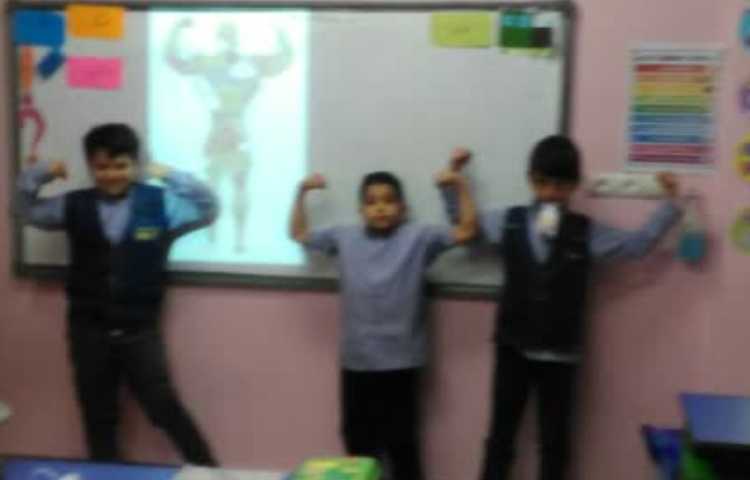 هرم غذایی و مواد غذایی مفید 1