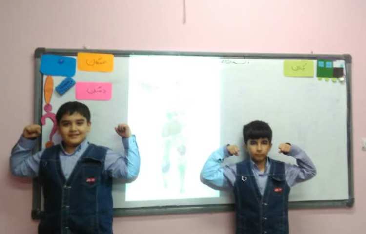 هرم غذایی و مواد غذایی مفید 2