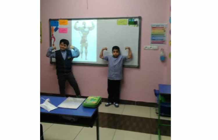 هرم غذایی و مواد غذایی مفید 3