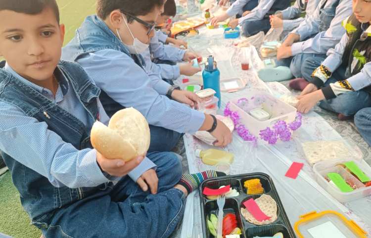 هرم مواد غذایی و صرف صبحانه سلامت 7