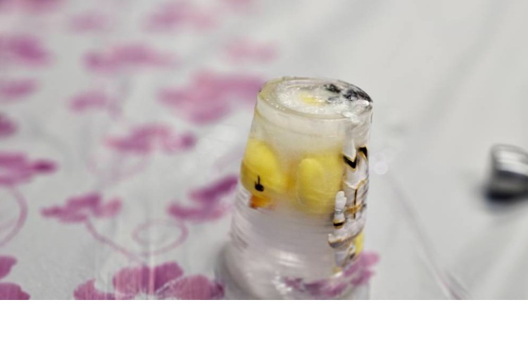 هفته آخر آبان پیش نوآوران 1 2