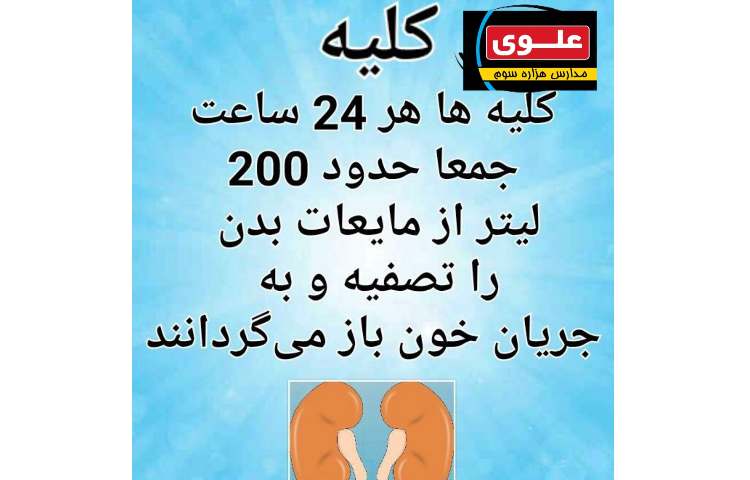 هفته حمایت از بیماران کلیوی 2