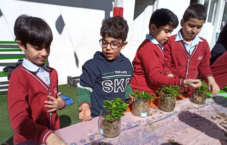 هفته درختکاری در راستای فعالیت‌های کارسوق چهارخانه 10