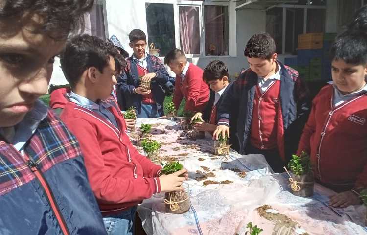 هفته درختکاری در راستای فعالیت‌های کارسوق چهارخانه 11