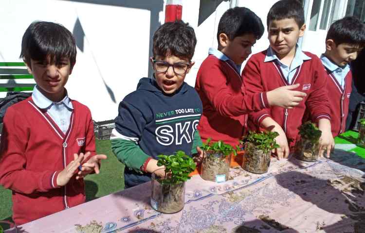 هفته درختکاری در راستای فعالیت‌های کارسوق چهارخانه 12