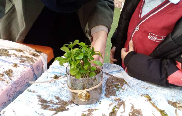 هفته درختکاری در راستای فعالیت‌های کارسوق چهارخانه 13