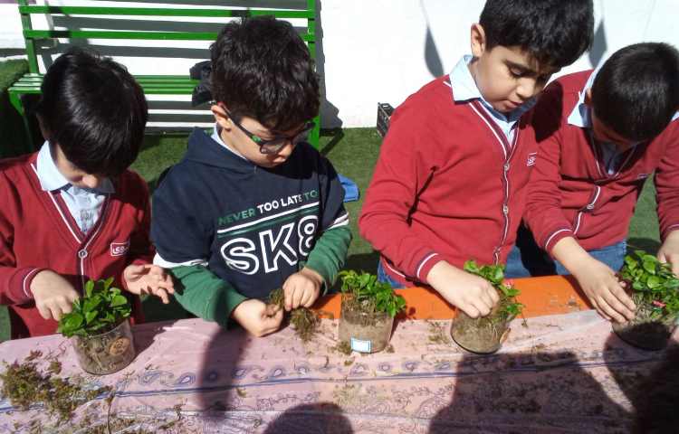 هفته درختکاری در راستای فعالیت‌های کارسوق چهارخانه 14