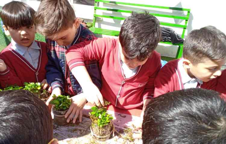 هفته درختکاری در راستای فعالیت‌های کارسوق چهارخانه 16