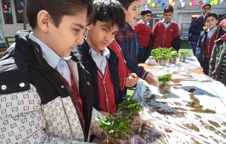 هفته درختکاری در راستای فعالیت‌های کارسوق چهارخانه 17