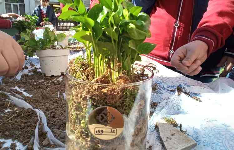 هفته درختکاری در راستای فعالیت‌های کارسوق چهارخانه 7