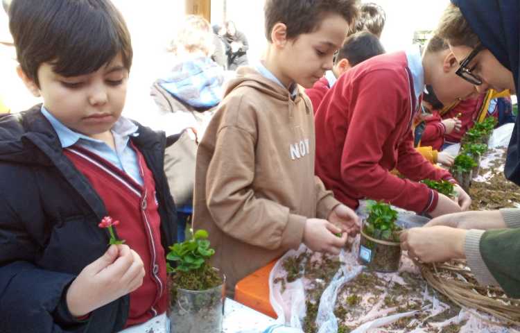 هفته درختکاری در راستای فعالیت‌های کارسوق چهارخانه 8