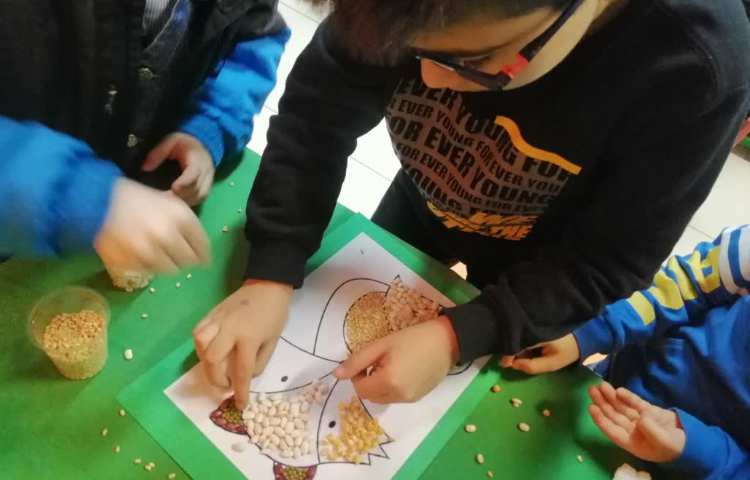 هفته علوم،تابلو حبوبات 2