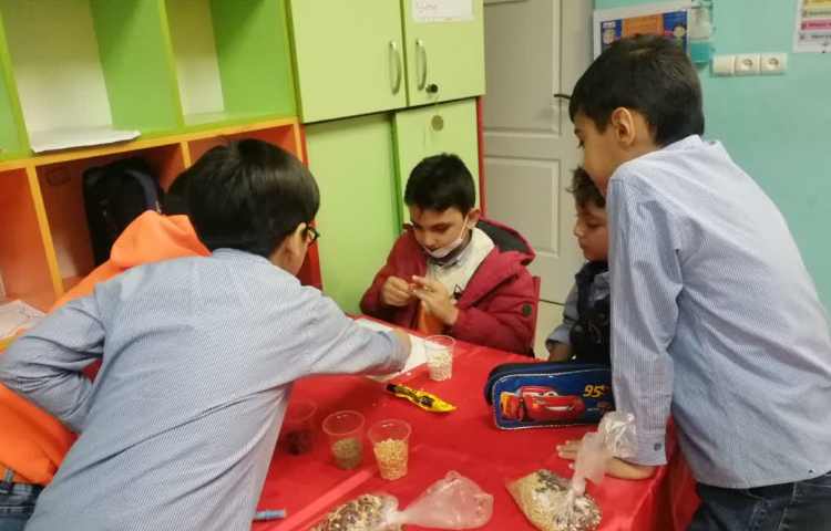 هفته علوم،تابلو حبوبات 3