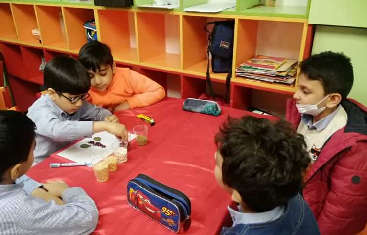 هفته علوم،تابلو حبوبات 6