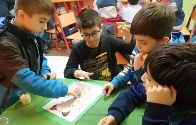 هفته علوم،تابلو حبوبات 7