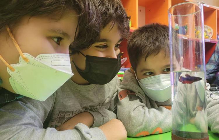 :هفته علوم، حیوانات خانگی