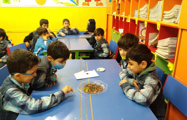 :هفته علوم، دنیای کرم خاکی 1