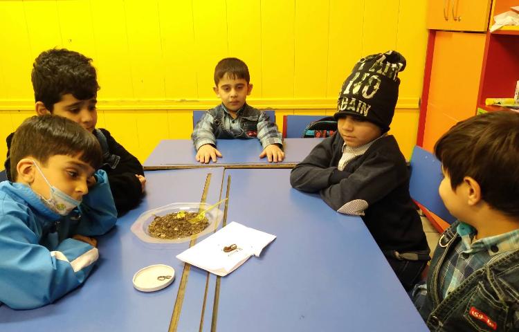 :هفته علوم، دنیای کرم خاکی 2